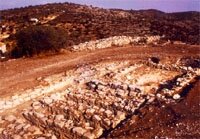 Museu del Montsi�: �rea d'Arqueologia