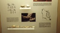 Museu del Montsi�. Sala d'arqueologia