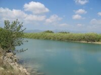 Museu del Montsi�: �rea de Natura